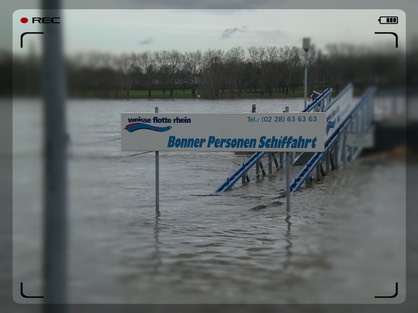 CIMG7925 Fotor 20130428