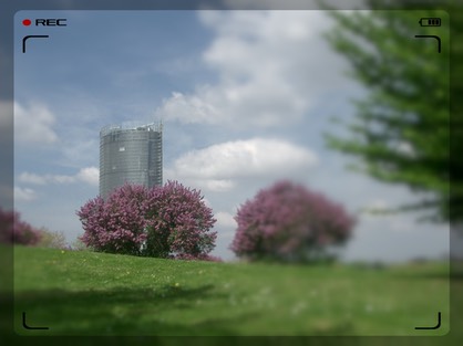 Reinaue 25.04.2004 002